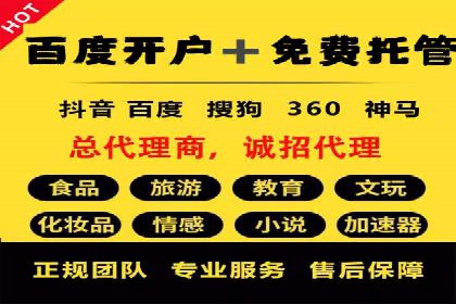 某品牌通过SEM关键词实现品牌推广的实战案例